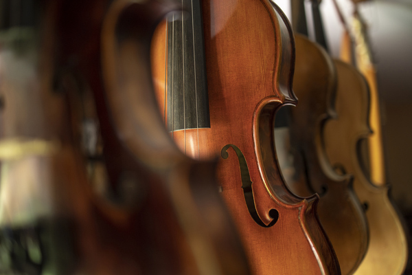 Why Are Some Musical Instruments so Expensive?  