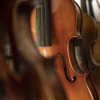 Why Are Some Musical Instruments so Expensive?  